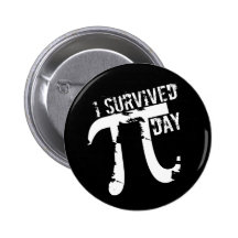 I Survived Pi Day - Funny Pi Day Pins