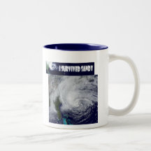 I Survived Sandy Mug