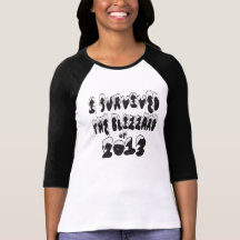 I Survived The Blizzard of 2013 Shirt