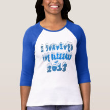I Survived The Blizzard of 2013 Shirt