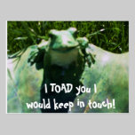 I TOAD YOU FROG postcard postcards