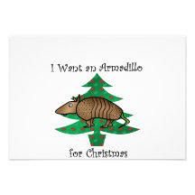 I want an armadillo for christmas personalised announcements