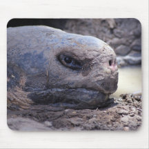 I was Asleep Mousepads