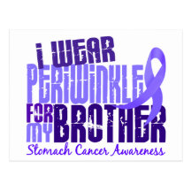 I Wear Periwinkle Brother 6.4 Stomach Cancer Post Cards