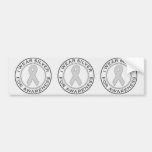 I Wear Silver For Awareness Bumper Stickers