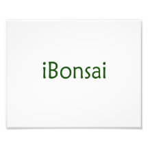 iBonsai green text bonsai design Art Photo