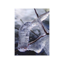 Ice donkey canvas print