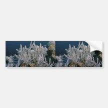 Ice Formation Bumper Stickers