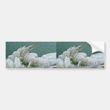 Ice Formations Bumper Sticker