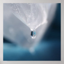 Ice Print