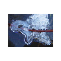 Ice Turtle Gallery Wrapped Canvas