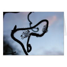 Ice vine greeting cards