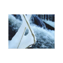 Ice Wabbit! Gallery Wrapped Canvas