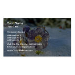 Iced periwinkle Pink flowers Business Cards