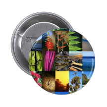 Iconic New Zealand Kiwiana nature scenes Pin