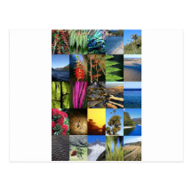 Iconic New Zealand Kiwiana nature scenes Post Cards