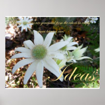Ideas Poster