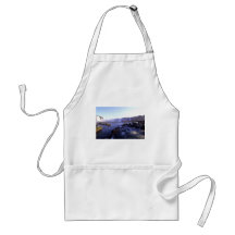 Iguacu Falls Brazil and Argentina Apron