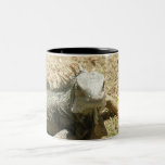 Iguana Lizard Ceramic Coffee Mug