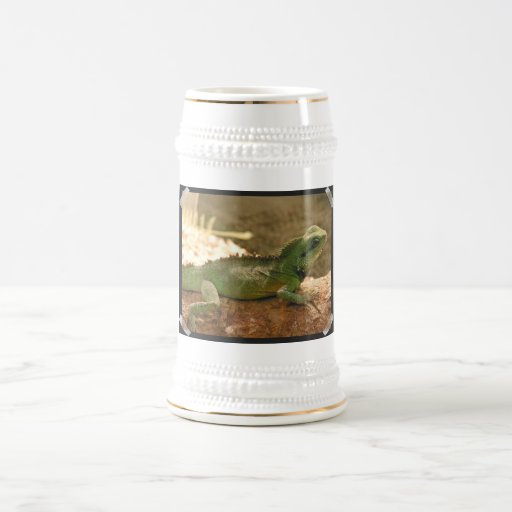 Iguana Photos Beer Stein Coffee Mugs