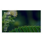 Illinois Bundleflower Business Card