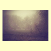 Illuminate the fog that surrounds us posters