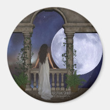 Illumination magnet