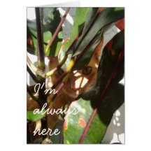I'm always here card