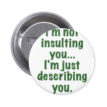 Im not Insulting you Im Describing you Pins