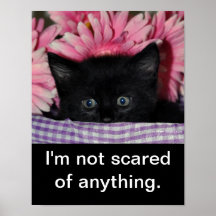 I'm not scared of anything posters