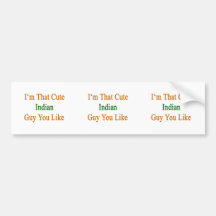 I'm That Cute Indian Guy You Like Bumper Stickers