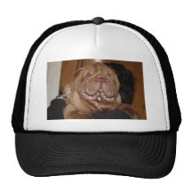 IMG_5257 MESH HATS