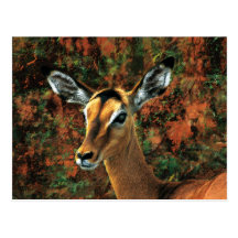 Impala Lady fantasy art Post Cards