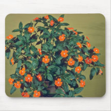 Impatiens, Orange glow Pink flowers Mousepad