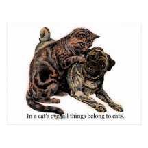 In a Cat's Eye Post Cards
