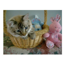 in basket postcard