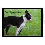In Sympathy Boston Terrier greeting card