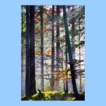 In the forest posters