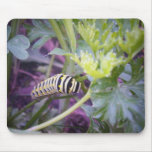In the Parsley Mousepads