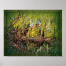 In the Willows Nature Poster