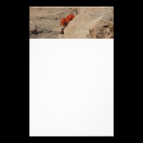 Indian Paintbrush in Rocks Floral Stationery stationery