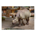 Indian rhinoceros cards