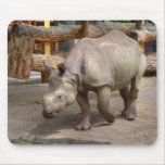 Indian rhinoceros mouse pads