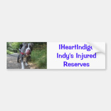 Indy 1, IHeartIndigoIndy's Injured Reserves Bumper Stickers