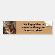 indy, My Abyssinian is smarter tha... - Customised Bumper Stickers