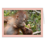 Infant Orangutan With Tropical Flower cards