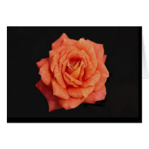 Infinity Greeting Cards