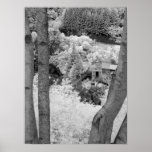 Infrared Hell's Gate Airtram British Columbia Poster