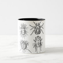 Insect Mug