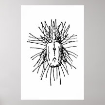 Insect Print
